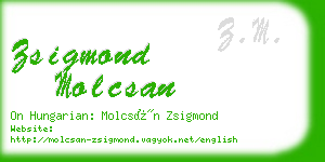 zsigmond molcsan business card